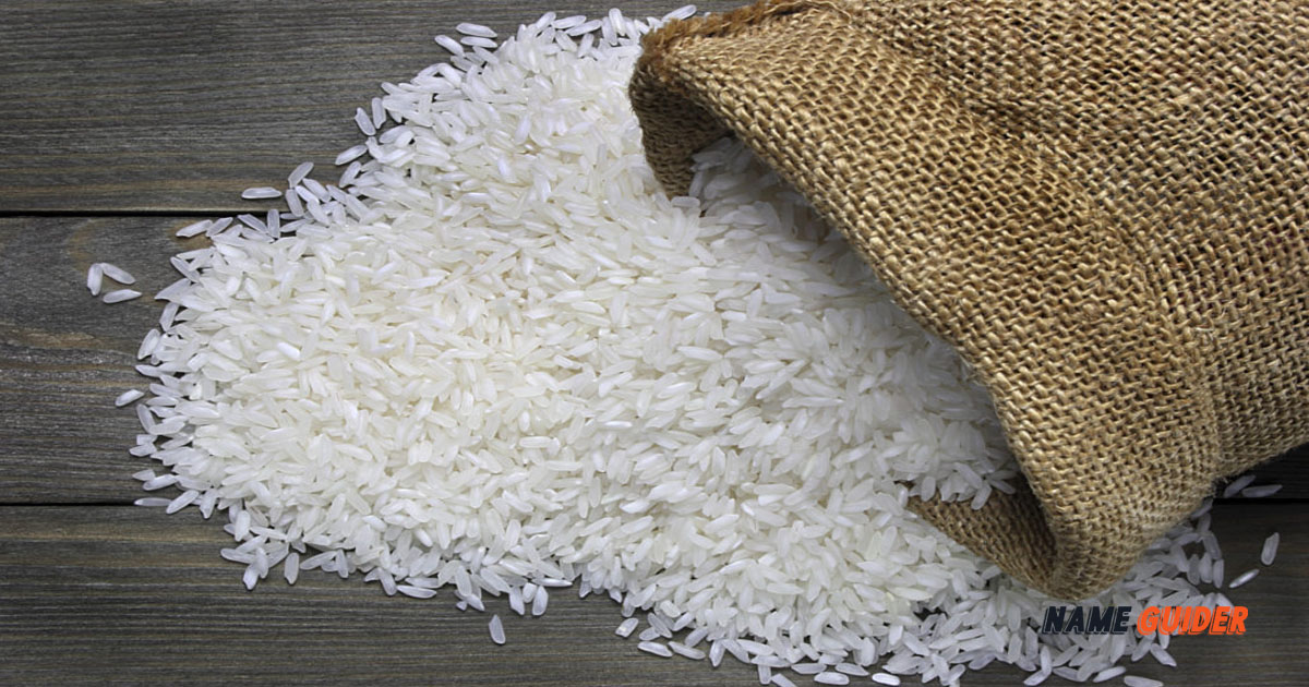Best Rice Company Name Ideas And Suggestions