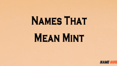 Names That Mean Mint