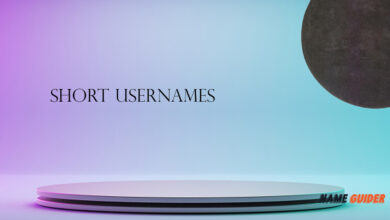 Short Usernames