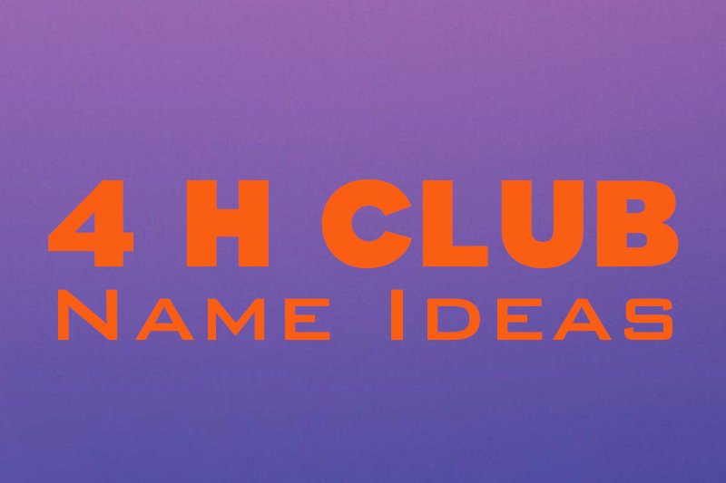 4 H Club Name Idea