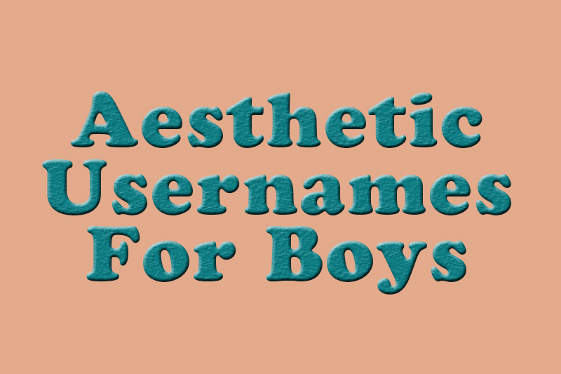 Aesthetic Username For Boys