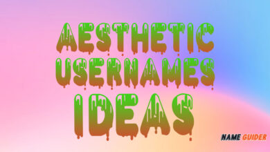 Aesthetic Username Ideas