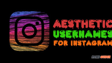 Aesthetic Usernames For Instagram