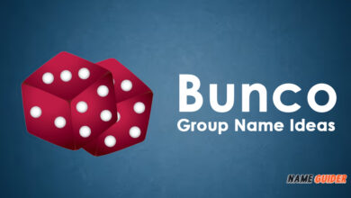 Bunco Group Name Ideas
