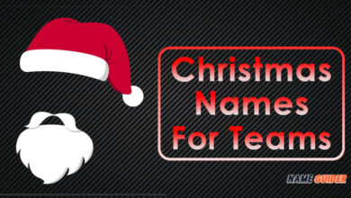 Christmas Names For Teams