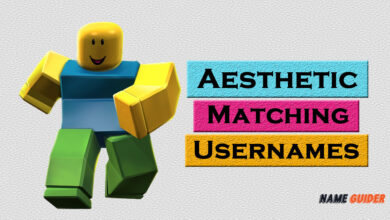 Matching Usernames Aesthetic