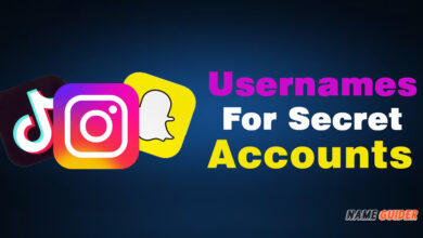 Usernames For Secret Accounts