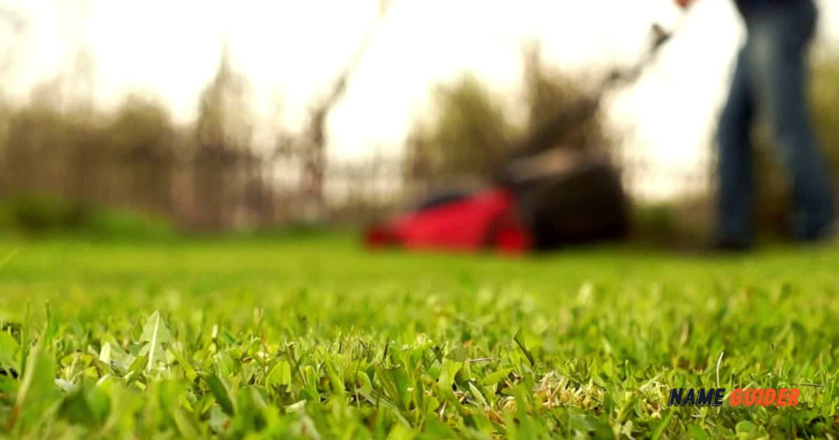 Landscape Business Name Ideas