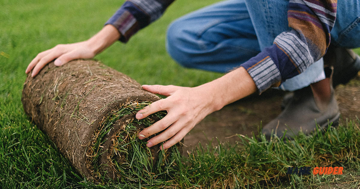 Landscaping Company Name Ideas