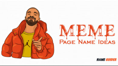 Memes Page Name Ideas
