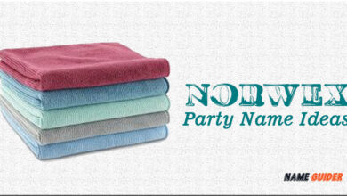 Norwex Party Name Ideas