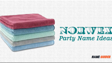 Norwex Party Name Ideas