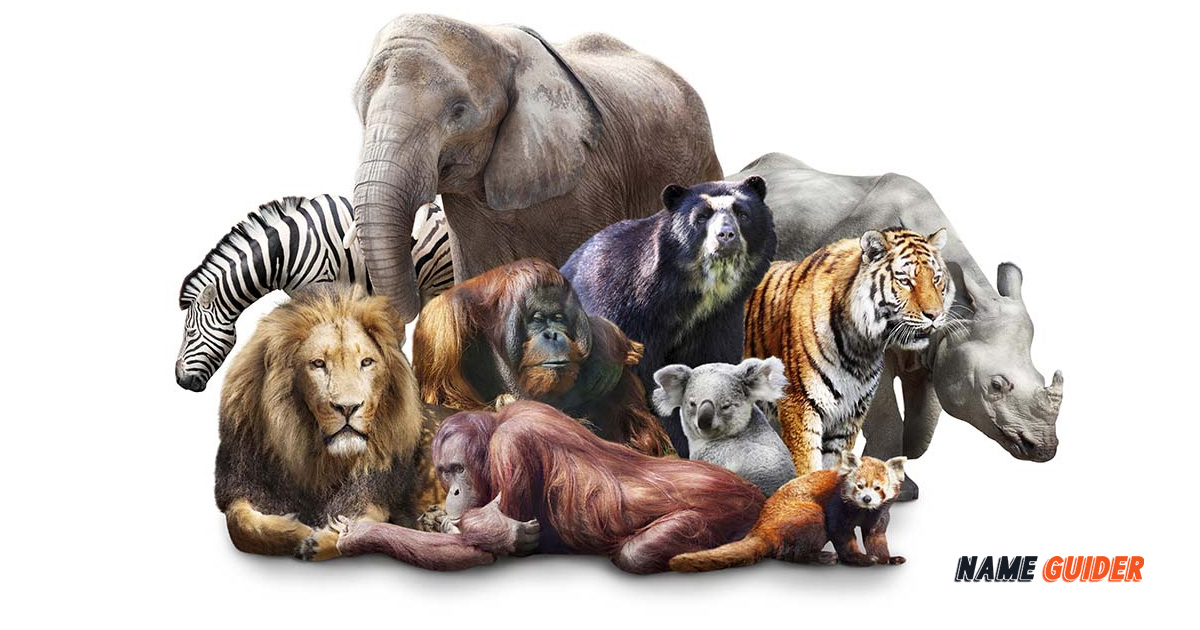 Animal Company Name Ideas