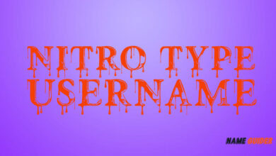 Nitro Type Username