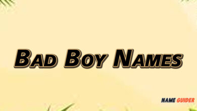 Bad Boy Names