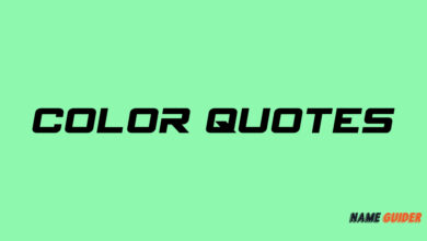 Color Quotes