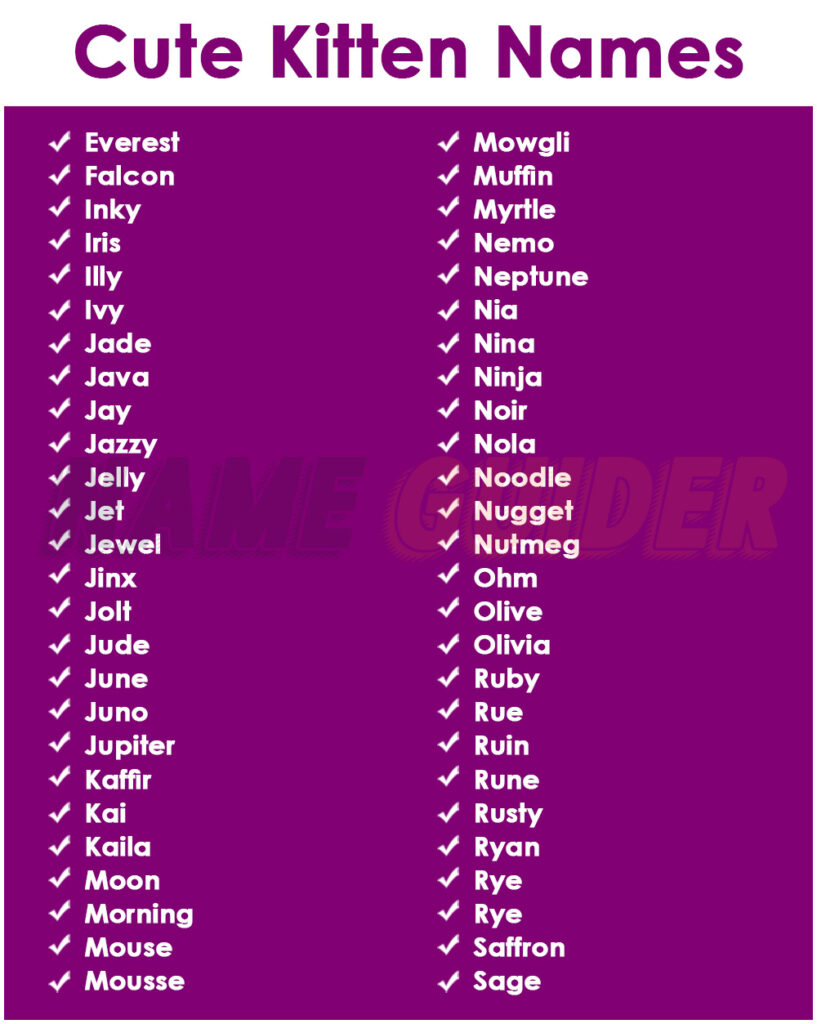 Cute Kitten Names Ideas