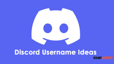Discord Username Ideas