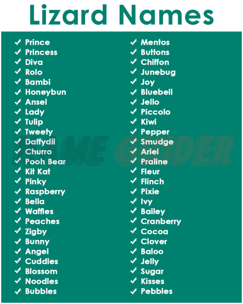 Lizard Name Ideas