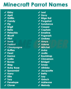400+ Minecraft Parrot Names (2023) | Name Guider