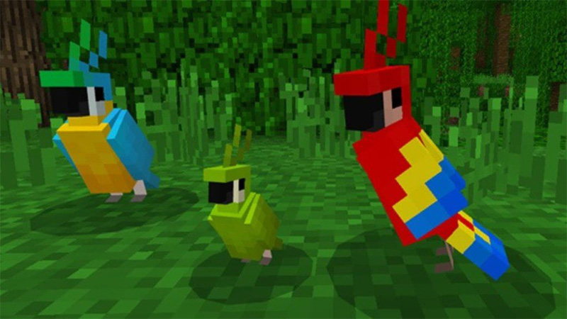Minecraft Parrot Name
