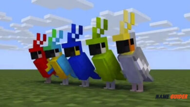 Minecraft Parrot Names