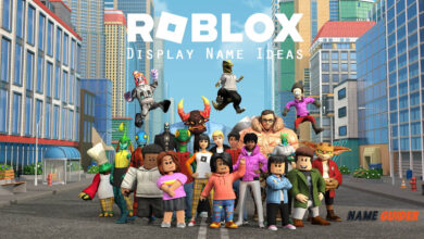 Roblox Display Name Ideas