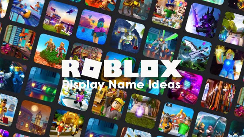 Roblox Display Names Ideas