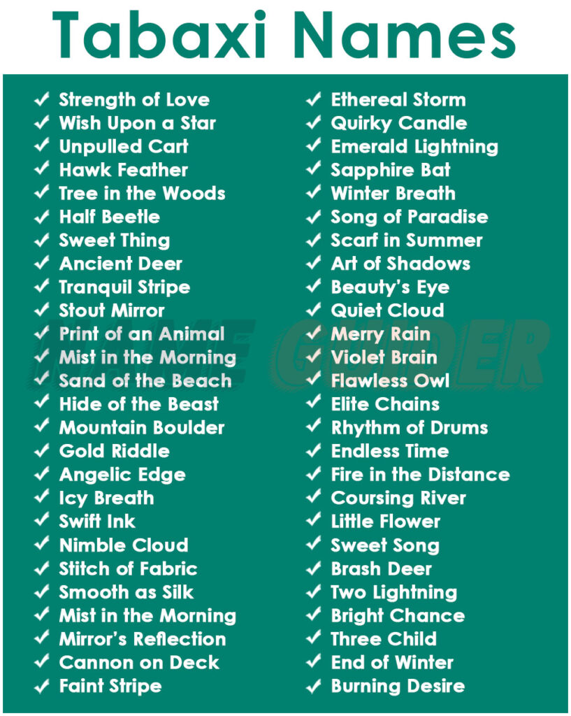 Tabaxi Names Ideas