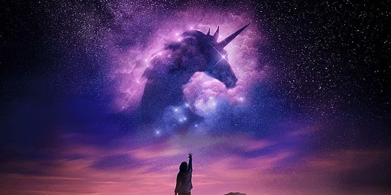Unicorn Name