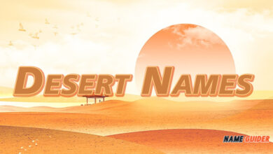 Desert Names