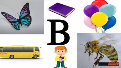 B Word For Kids