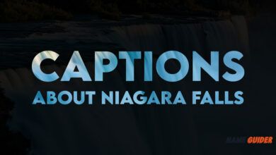 Captions About Niagara Falls