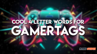 Cool 4 Letter Words For Gamertags