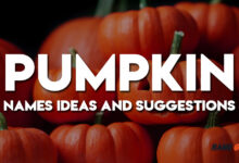Pumpkin Names Ideas and Suggestions