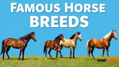 Famous Horse Breeds Ideas and Suggestions