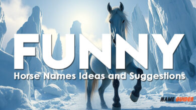 Funny Horse Names Ideas and Suggestions