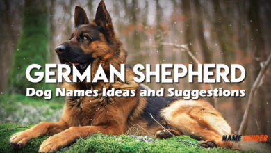 German Shepherd Dog Names Ideas and Suggestions