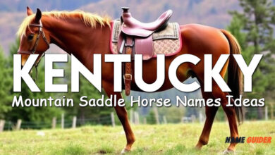 Kentucky Mountain Saddle Horse Names Ideas