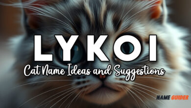 Lykoi Cat Name Ideas and Suggestions