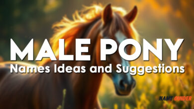 Male Pony Names Ideas and Suggestions