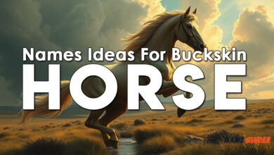 Names Ideas For Buckskin Horse