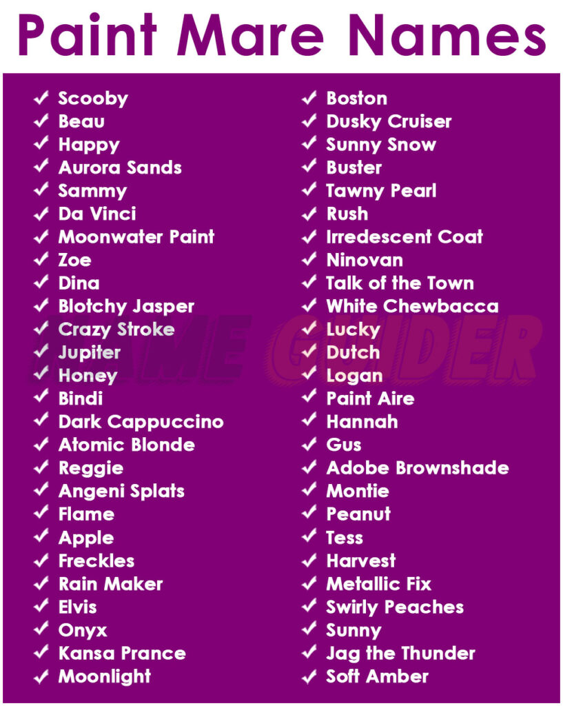 Paint Mare Names Ideas