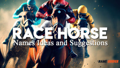 Race Horse Names Ideas and Suggestions