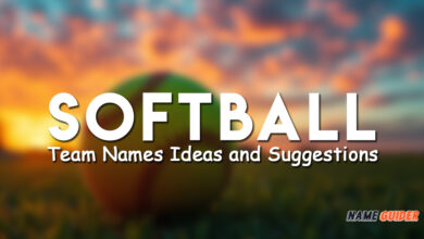 Softball Team Names Ideas and Suggestions