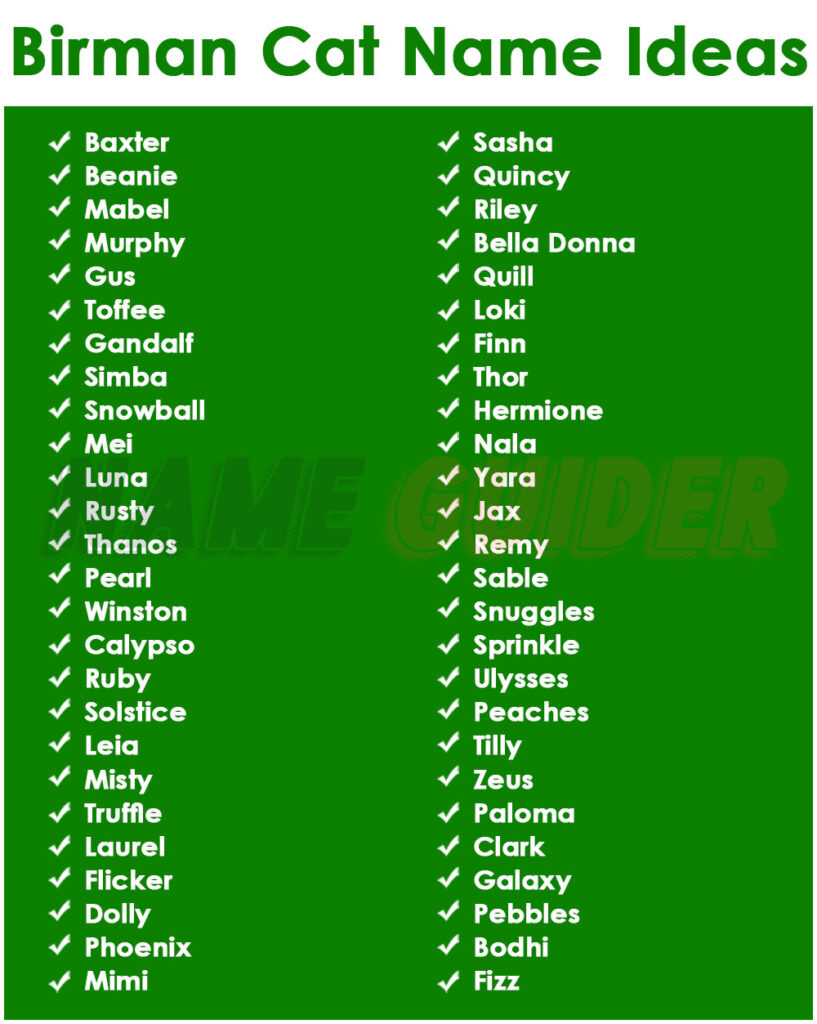 Birman Cat Name Ideas