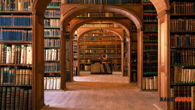 Library Name Ideas and Suggestions