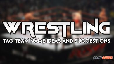 Wrestling Tag Team Name Ideas and Suggestions