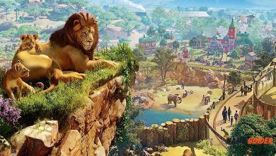 Zoo Names Ideas and Suggestions