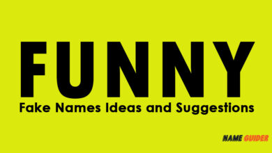 Funny Fake Names Ideas and Suggestions